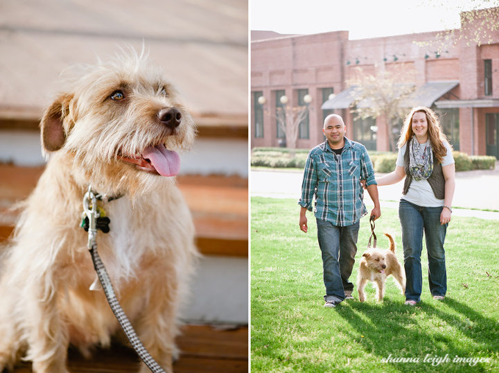 An engaged couple with their rescue dog in Grapevine, Texas.