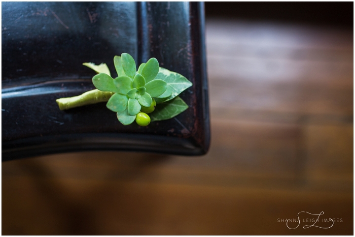 Succulent boutonnieres for the groom and his groomsmen at Amanda and Steve