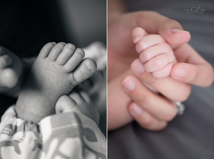 newborncollin3