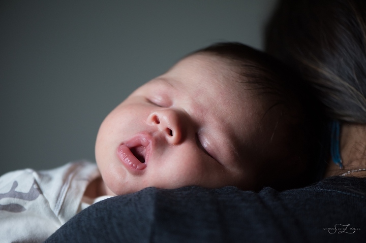newborncollin2